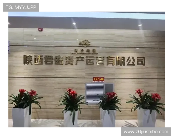 尊龙z6国际站最新优惠活动与充值返利政策全面解读