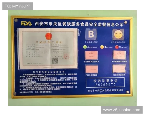 尊龙官网手机版官网详细说明账号安全保护措施与个人信息安全保障